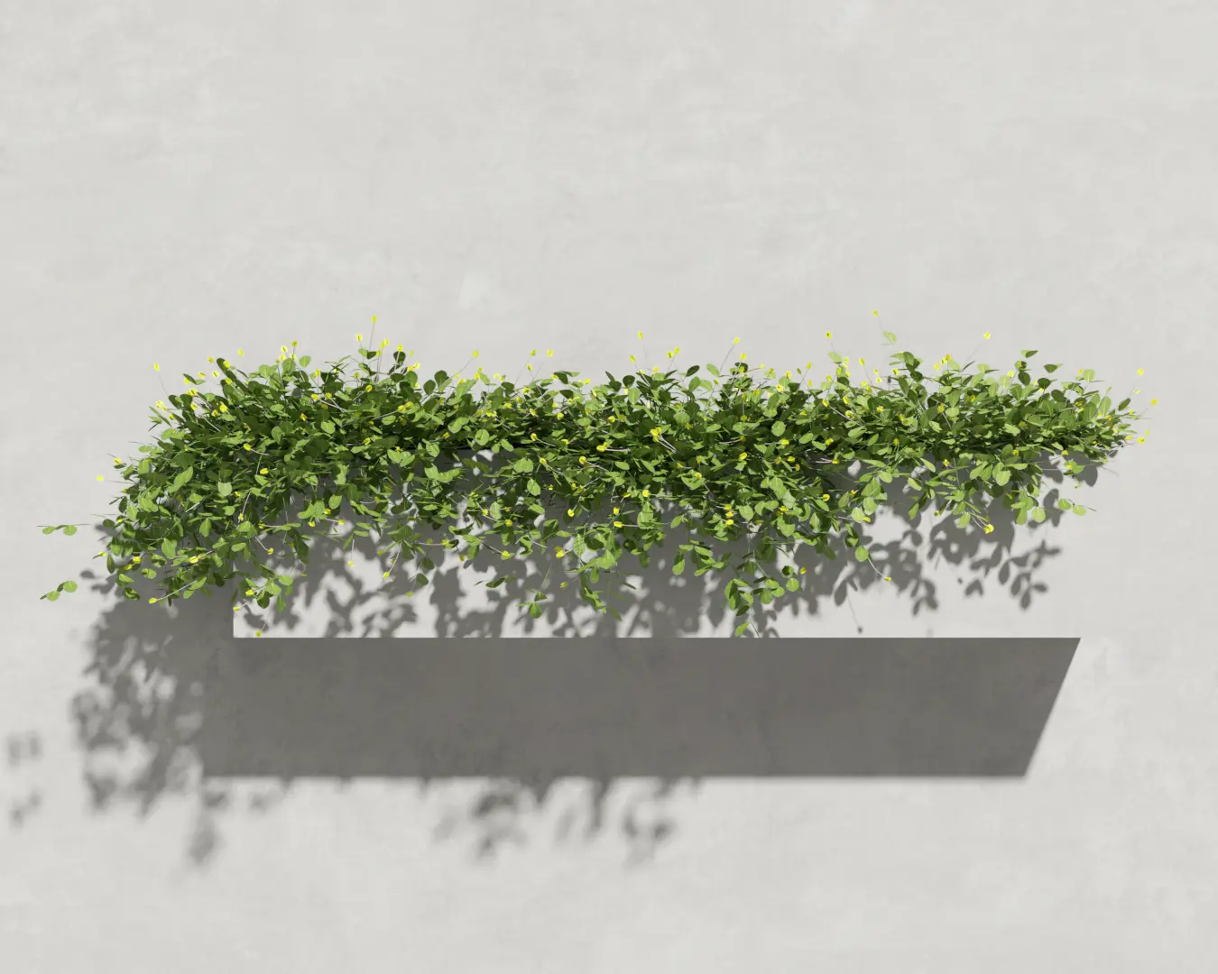 GRAMA AMENDOIM PENDENTE